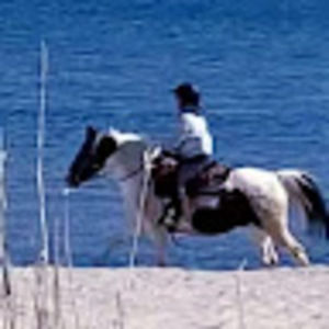 Meet your Posher, Janet